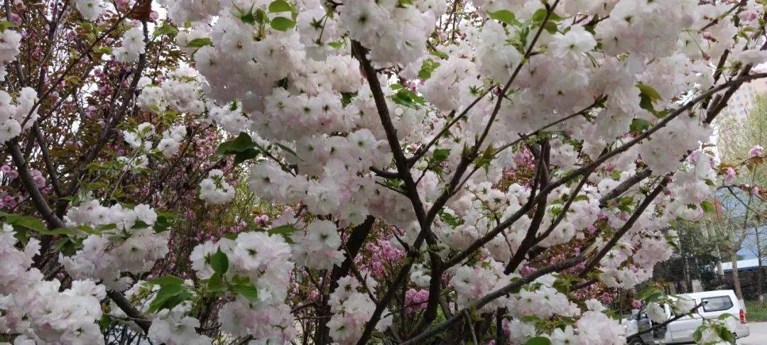 【文苑天地】暖香春天_阳光_小草_泥土