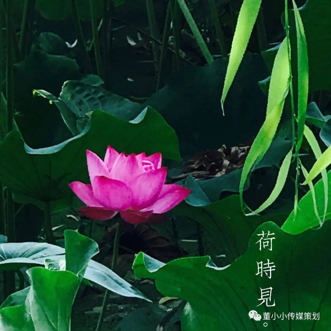 善良是一种修养