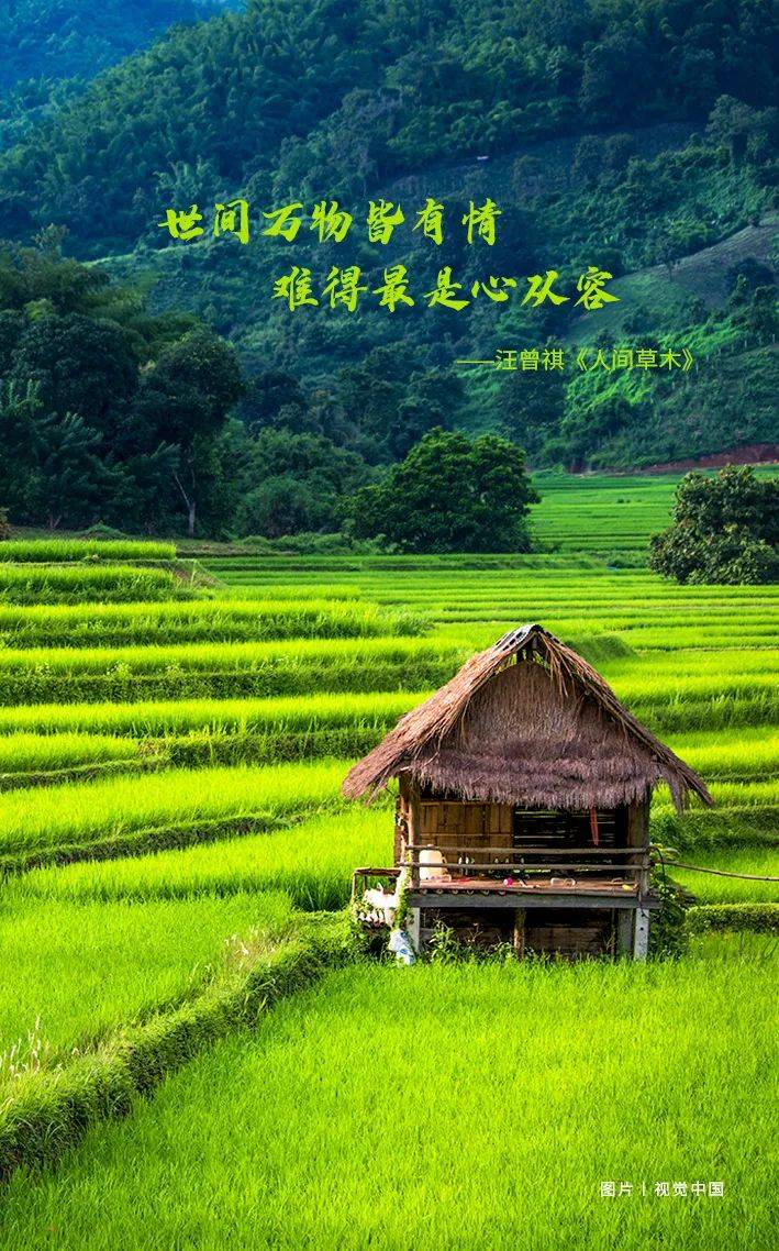 晚安郑州三月三拜轩辕就在4月11日67相亲强奸案当