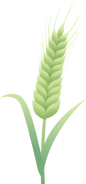 事关清明节江西重要发布
