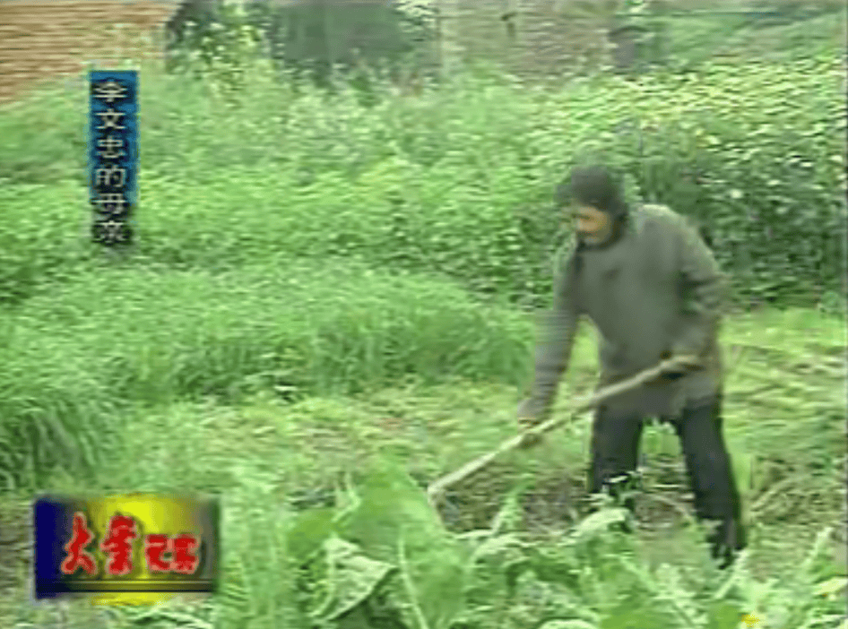 国产尺度之最,能拍出来已经赢了_李文忠_玲玲_父亲