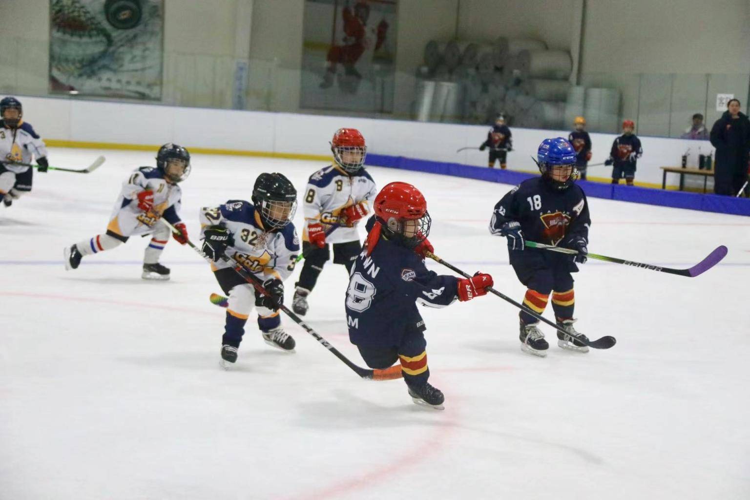 丰台区举办第三届冰球邀请赛