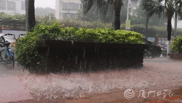 紧急预警覆盖同安强雷电短时强降水大风没事别出门