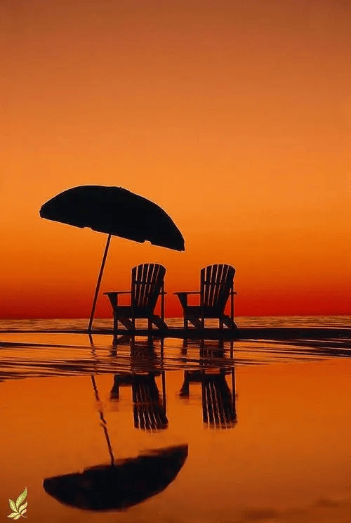 轮回_时光_岁月_生命