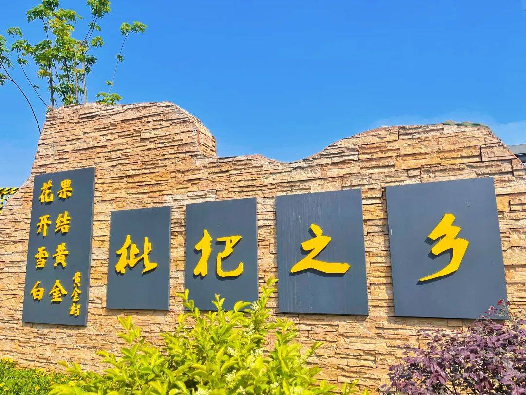 乡村振兴水口镇黄金村的黄金果上市啦