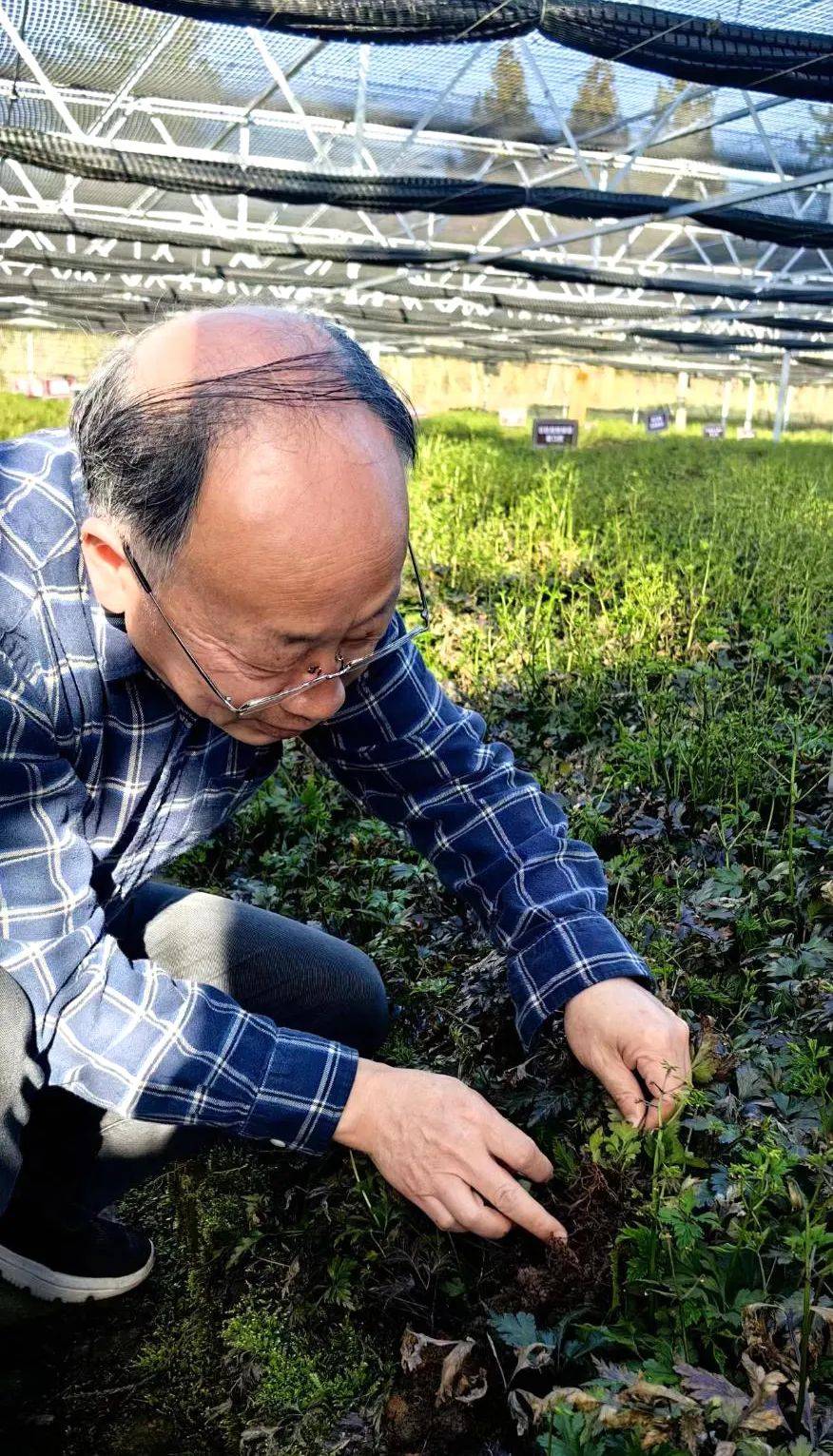 成渝双城记李后强立足石柱为成渝地区双城经济圈建设注入知识新动能