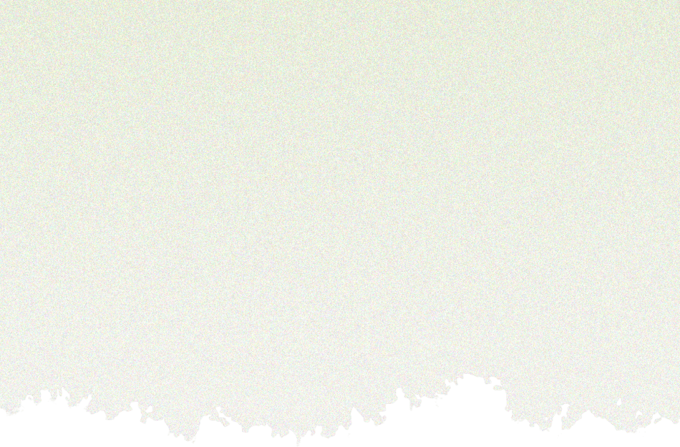 ding十二张图看邑法人的春天里