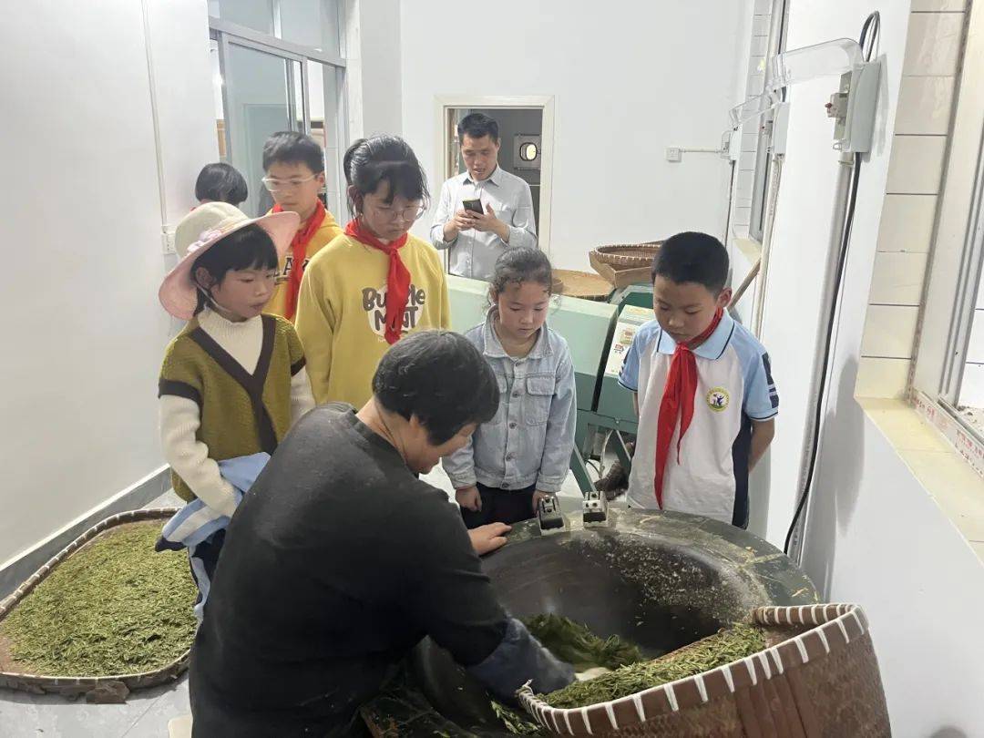 春季研学丨开化县林山乡中心小学走进春天的课堂