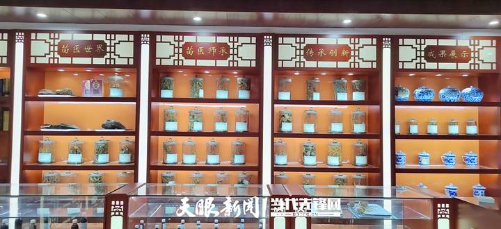贵州松桃全力推进苗医苗药产业高质量发展