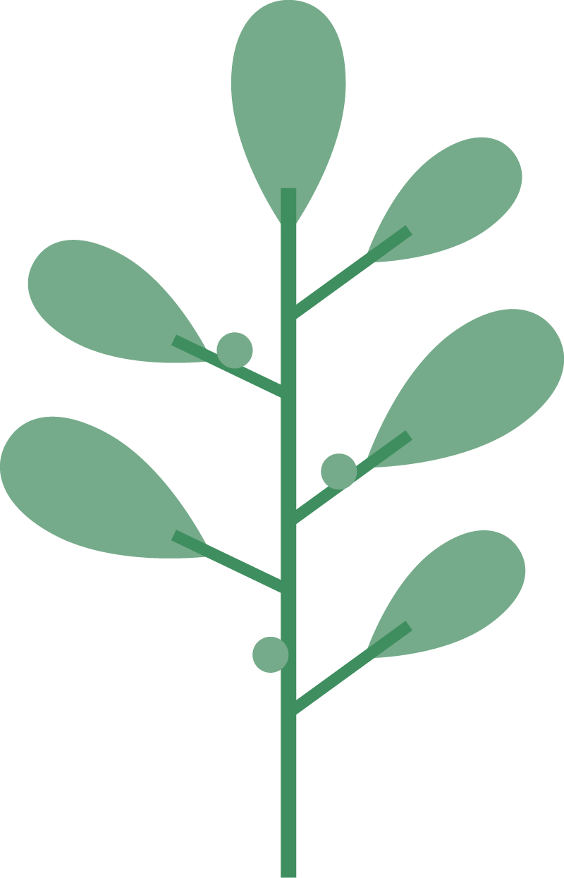 声临其境音为有你囊萤夜读专栏朗读活动投稿来啦