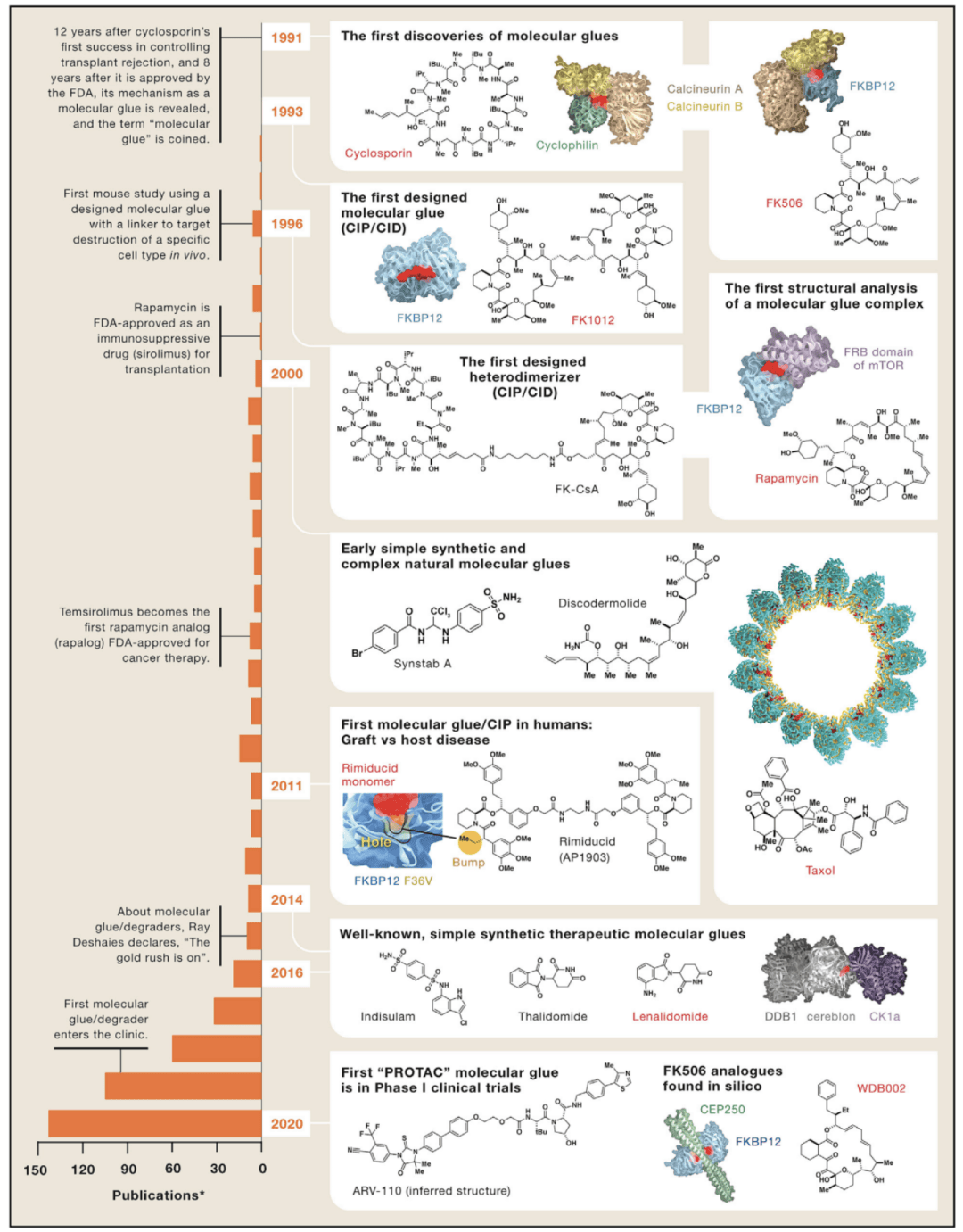 1991年,分子胶的概念首次被提出,环孢菌素a(cyclosporin a)和fk506以