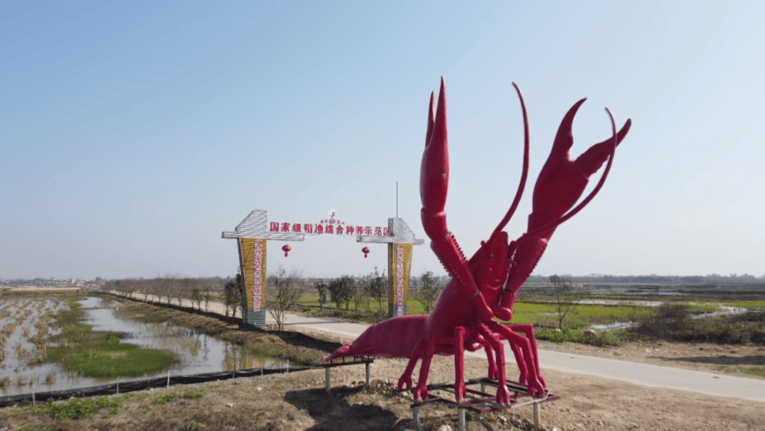 因地制宜大力推广"稻田 "综合种养模式,不断提升农田产值,助农增收