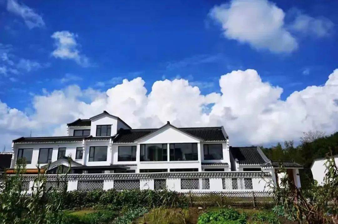 清明假日将至奉贤吴房村的民宿上央视了