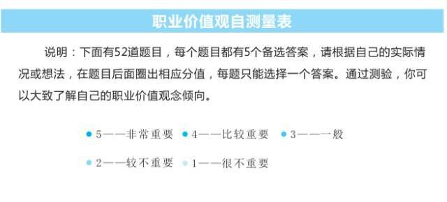 职业价值观测评得分图图片