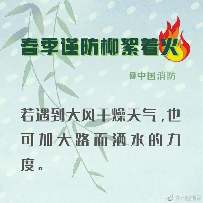 杨柳絮预警谨记这些防火防过敏小妙招助你安稳度过飞絮期