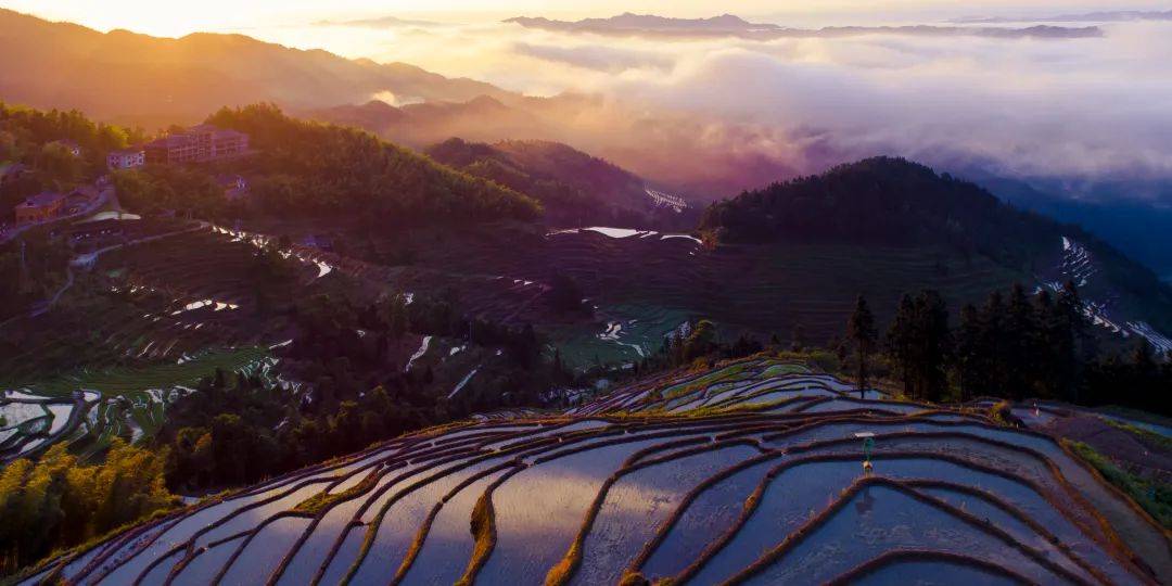 紫鹊界梯田景区 住宿图片