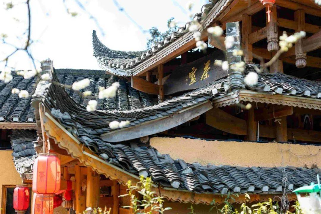 游保靖县国茶村景区赴一场茶庐民宿寻茶之约