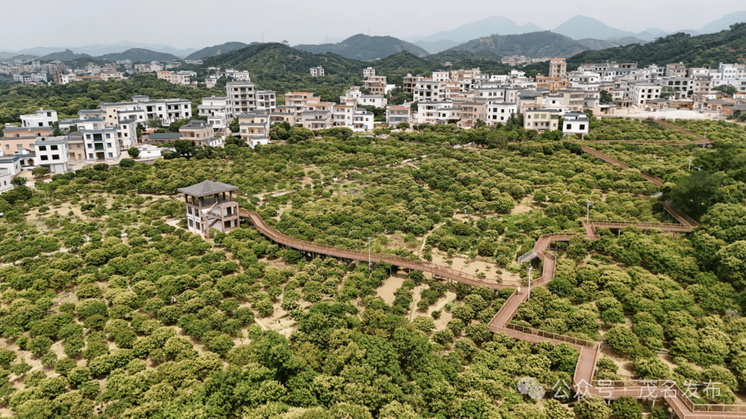 三月的柏桥村奏响春之声