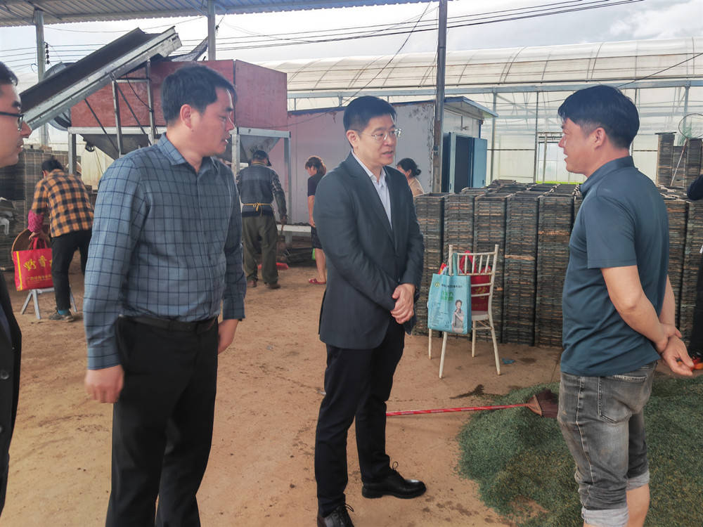 胡勇刚深入乡镇调研粮食生产等工作