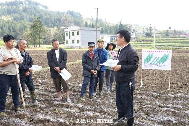 进入春耕备耕的农忙时节以来,昌明镇还组建农业技术服