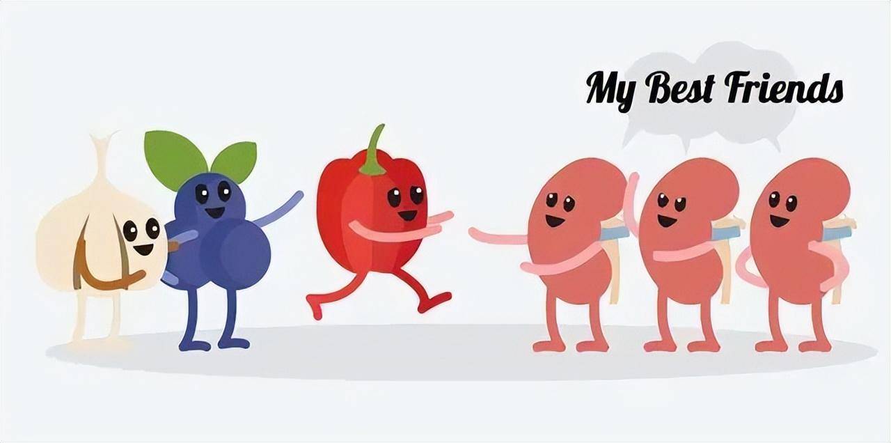 你的肾脏从多少岁开始衰老