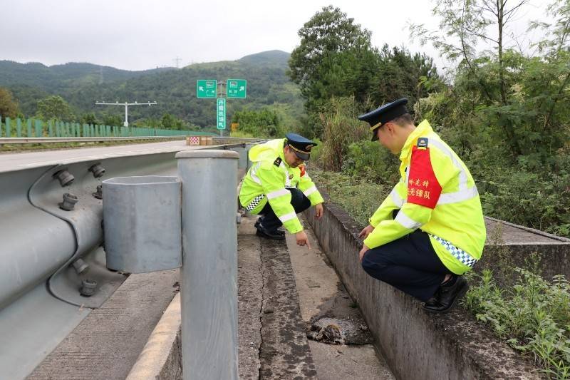 清明祭扫踏青高峰京珠北乐广北高速发布出行指引