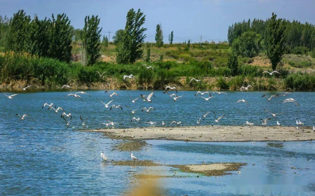 『田园呼图壁』的春日浪漫在这里→0564_旅游_景区_乡村