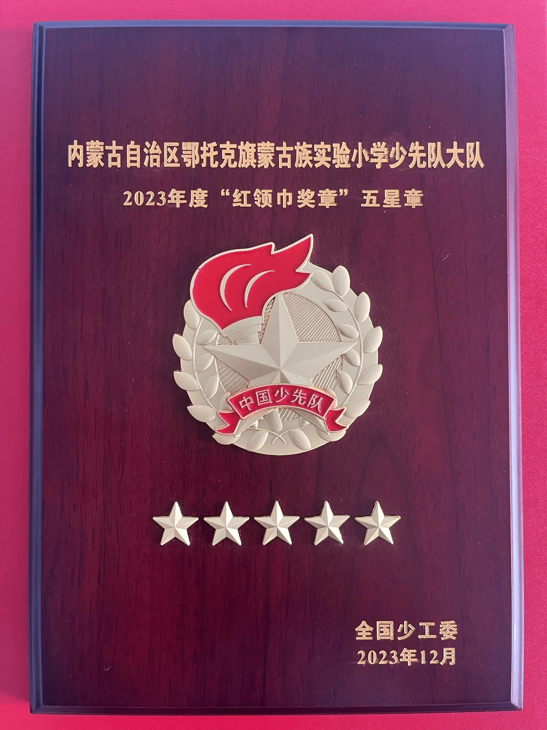 这是全国少工委所授予少先队的最高荣誉