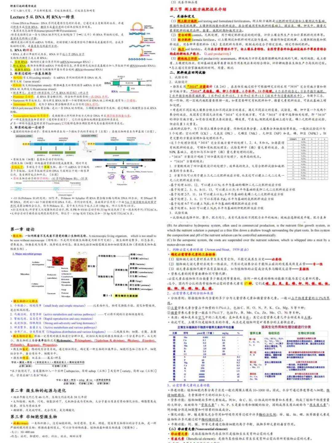 刘锦锦_生活_易阳