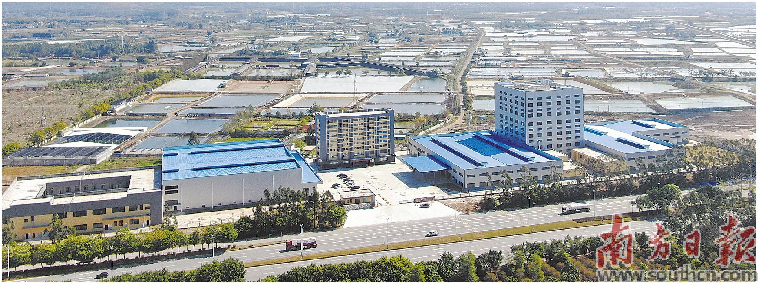 合洋水产"三产融合"项目坐落于三水区渔业加工与物流产业园(渔世界)内