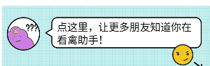 蛋鸡春季呼吸道疾病频发最后都会发展成气囊炎混感一