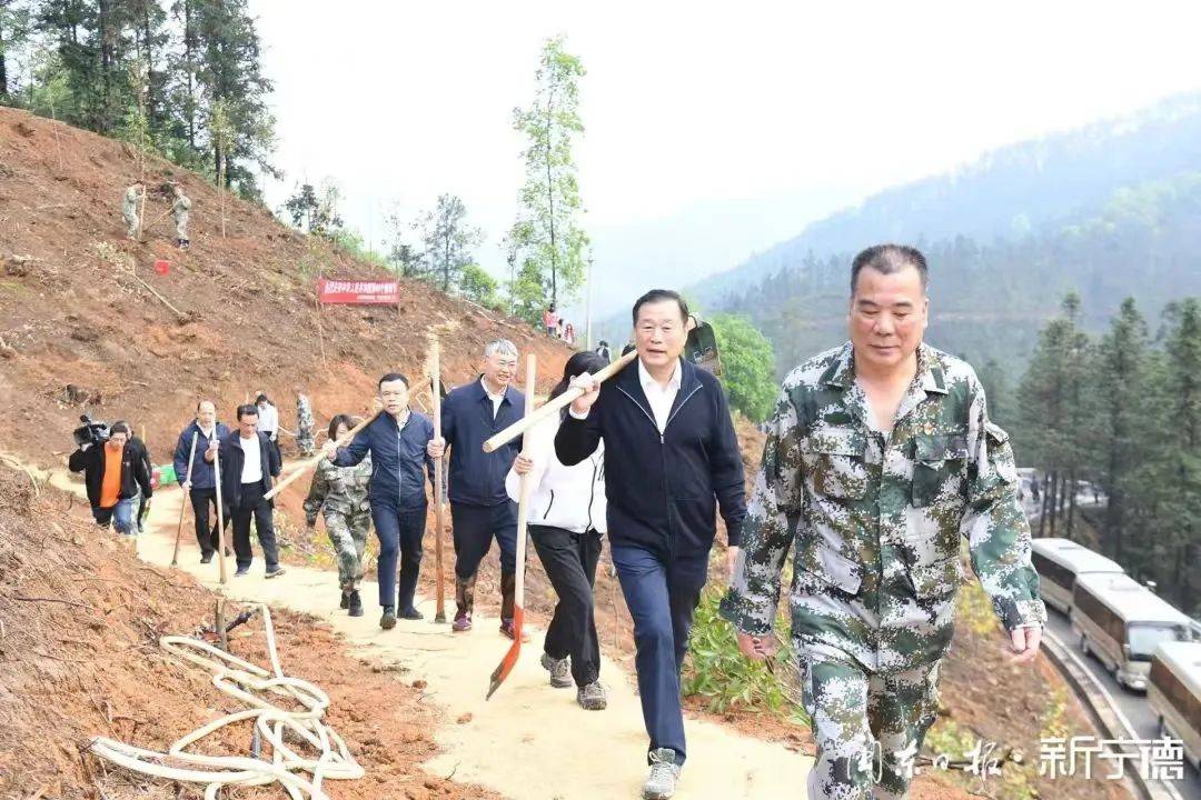 市各套班子领导参加全民义务植树活动_宁德_绿化_闽东