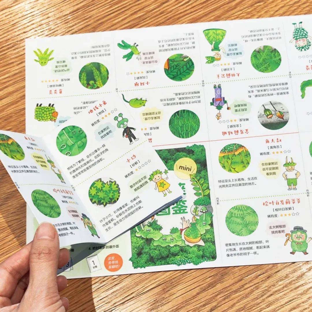 小世界探藓记今年的第一次春游就来这里吧