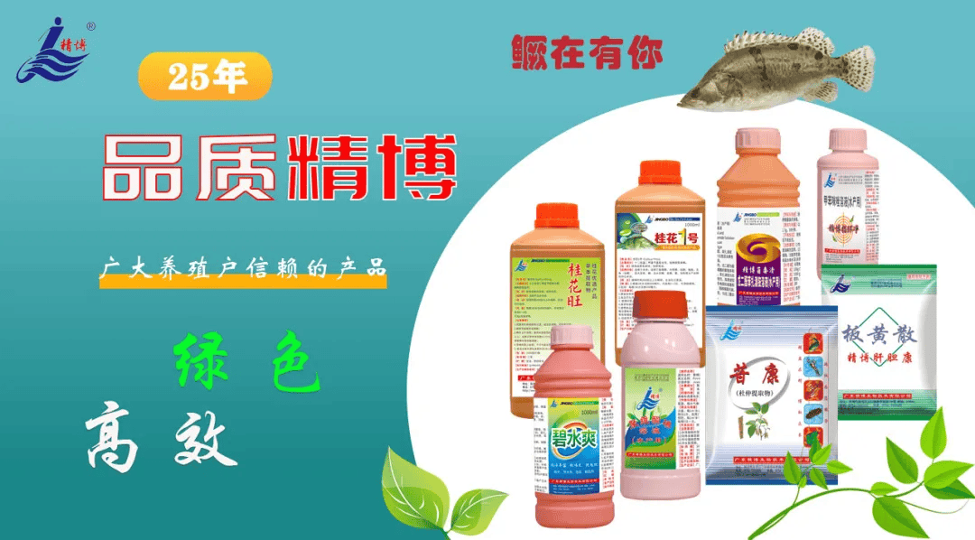 生长速度提高20商品蟹大规格率达到50以上专家养殖户都推荐诺亚1号