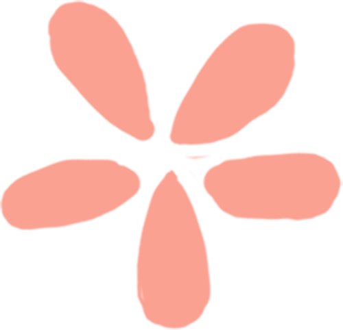 交大校花我们收集好了