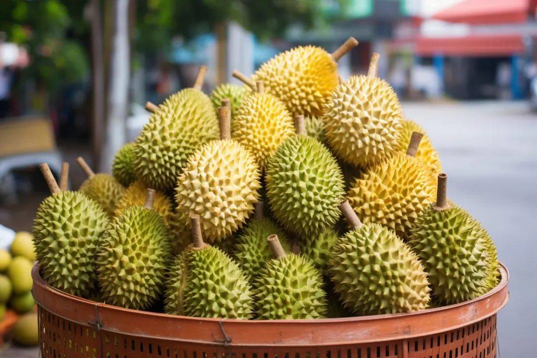 榴莲吃到饱一人送一颗苏丹王快跟上我们去新加坡马来西亚玩耍