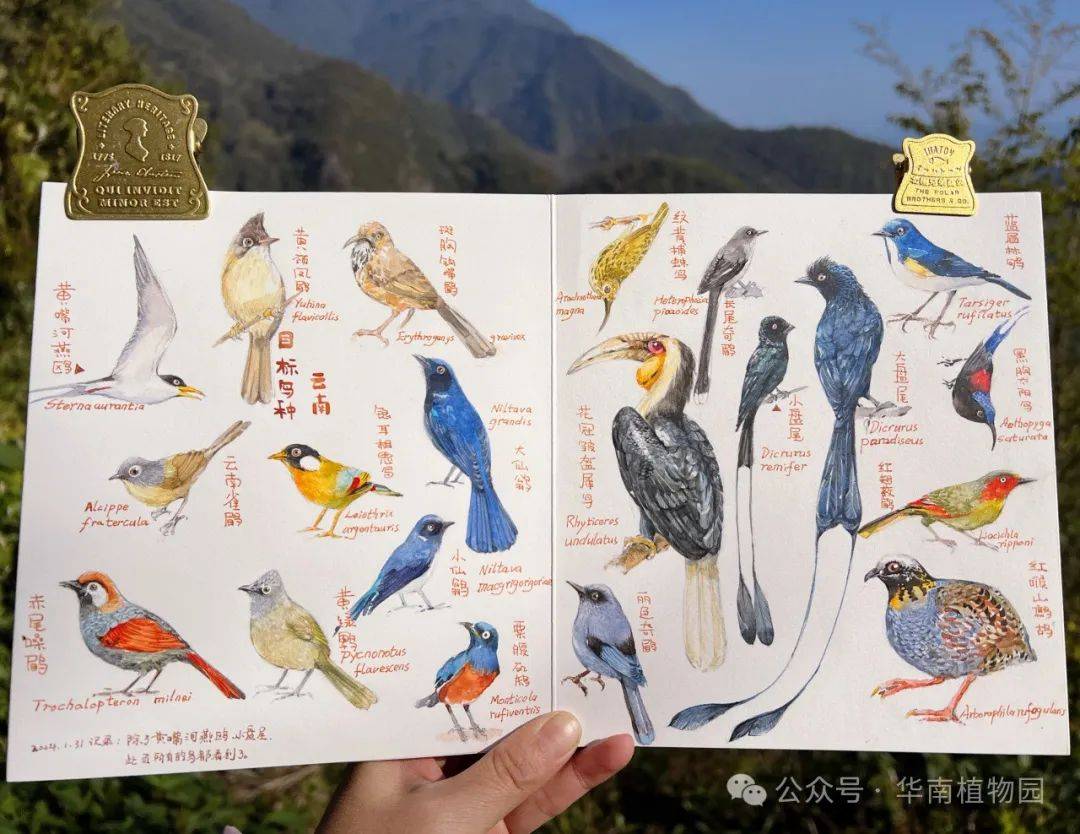 走进自然,笔记心声:自然观察与笔记技巧丨"琪林科学讲坛"第76期预告