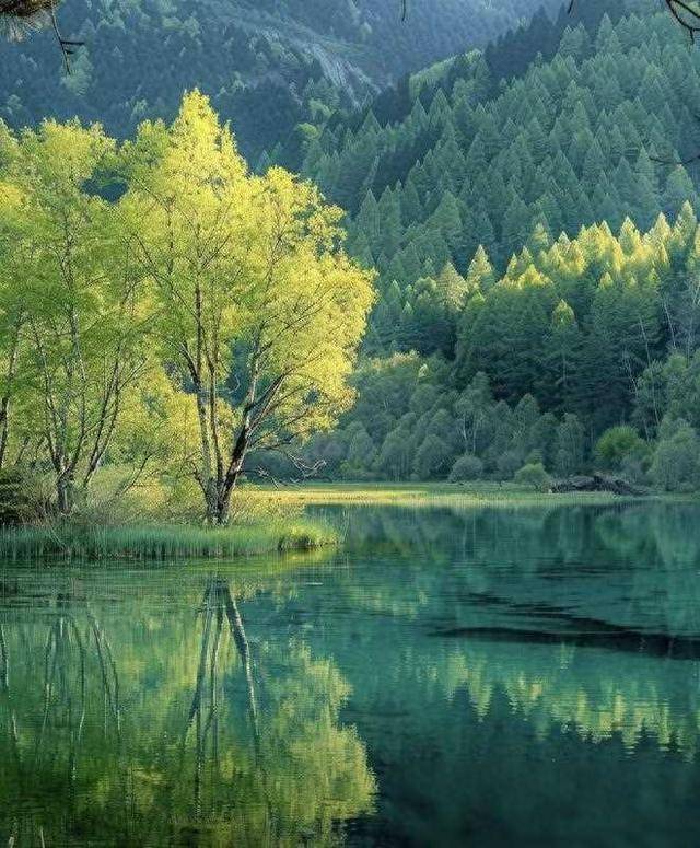 让你运势越来越旺的风水秘诀