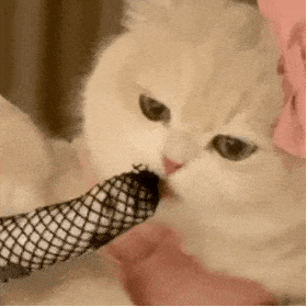 情侣涩涩表情包