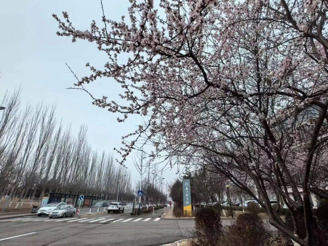 书香唐山李翠松现代诗九首