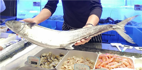 西坡:清明吃川乌_台州_马鲛鱼_上海