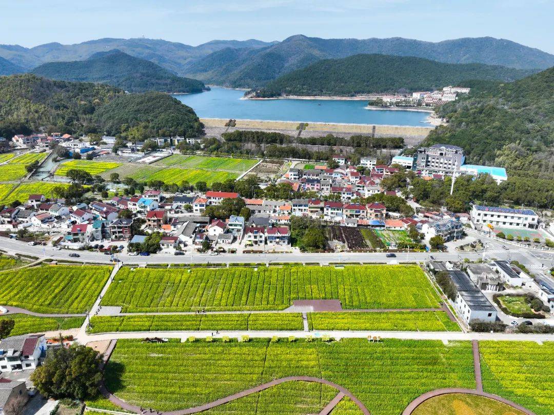 长胜村孟家花海
