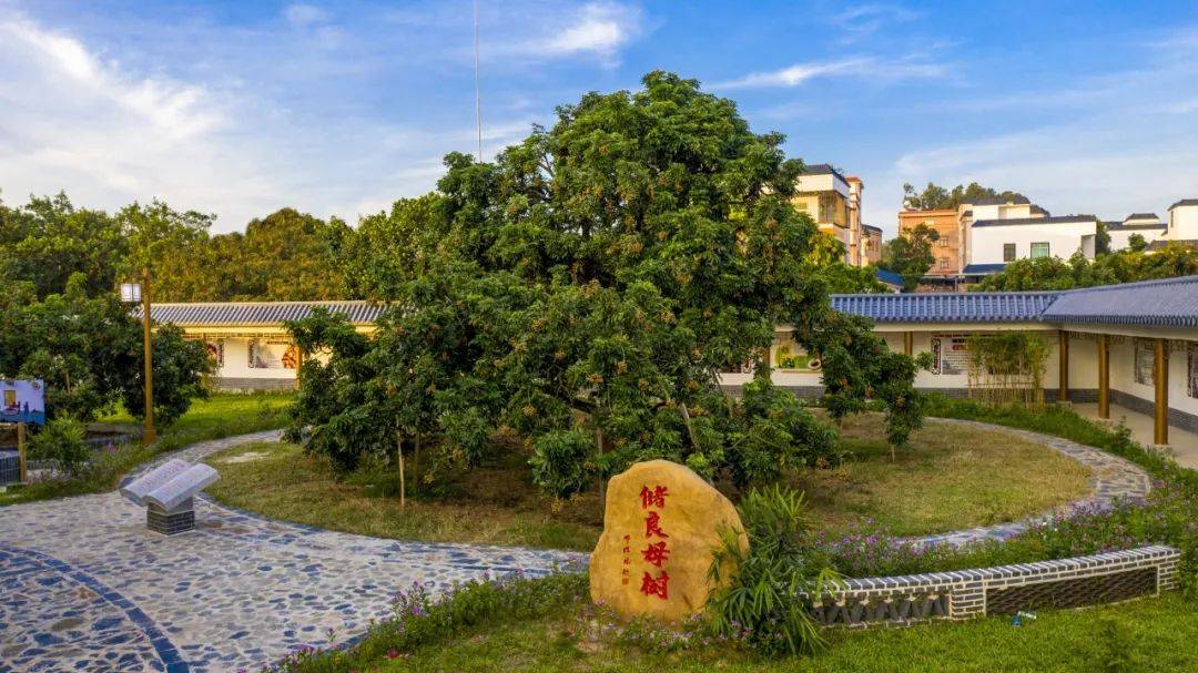 高州入选~_分界镇_广东省_项目
