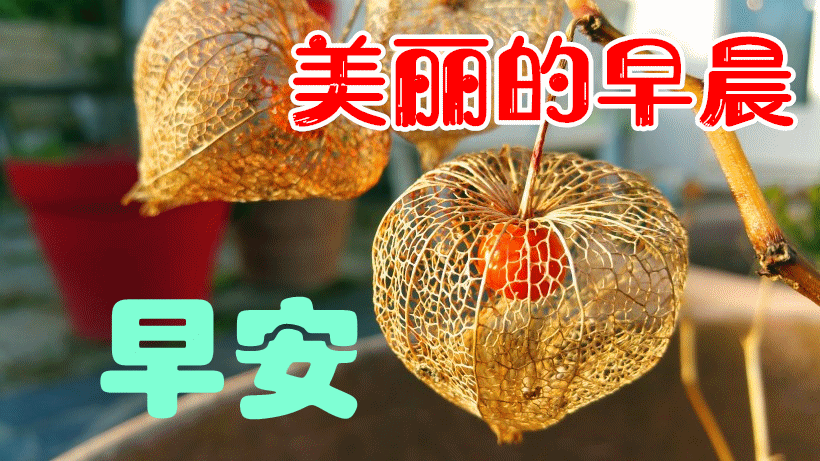 特好看的早上好图片带字温馨暖心的朋友圈早安心情短信