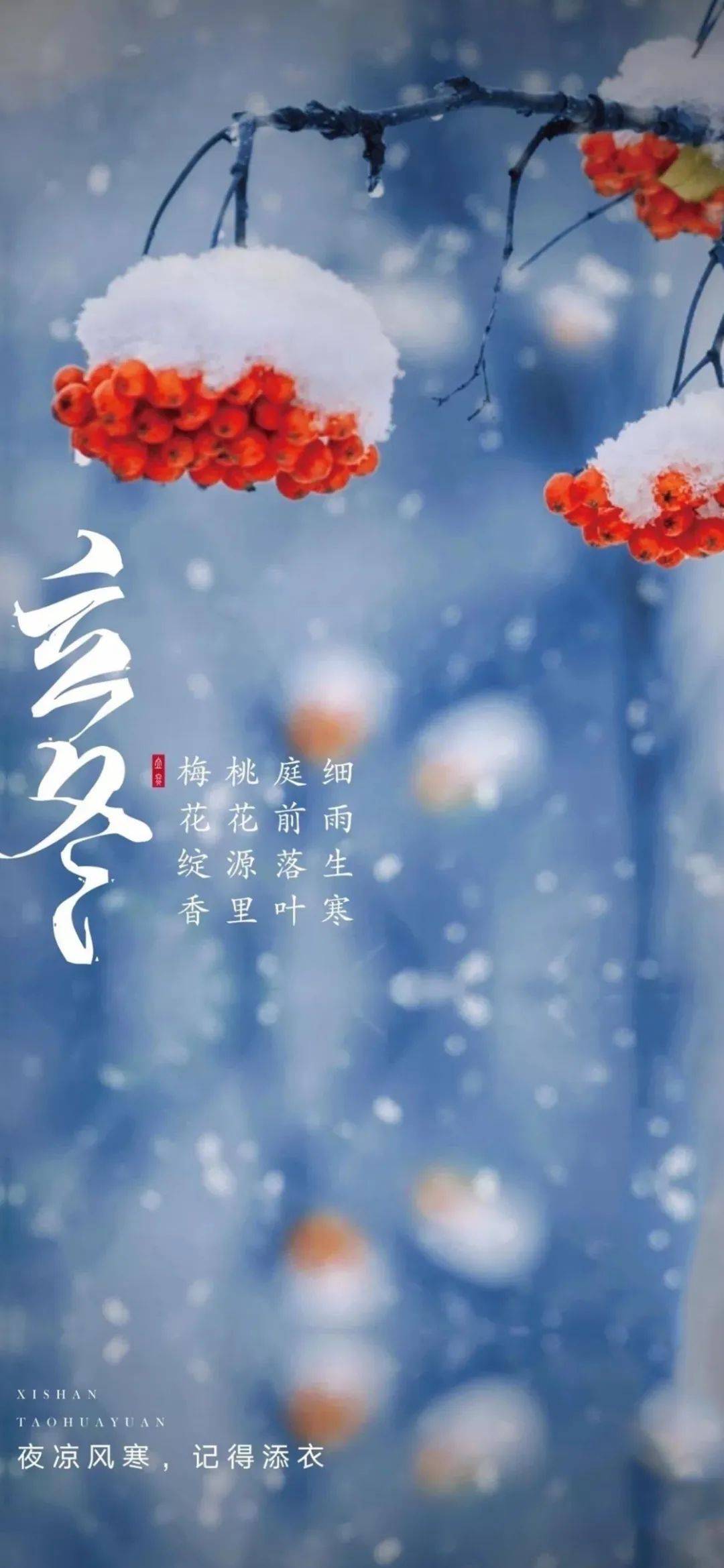 立冬南飞雁队掠长空,夜色苍茫霜露浓。