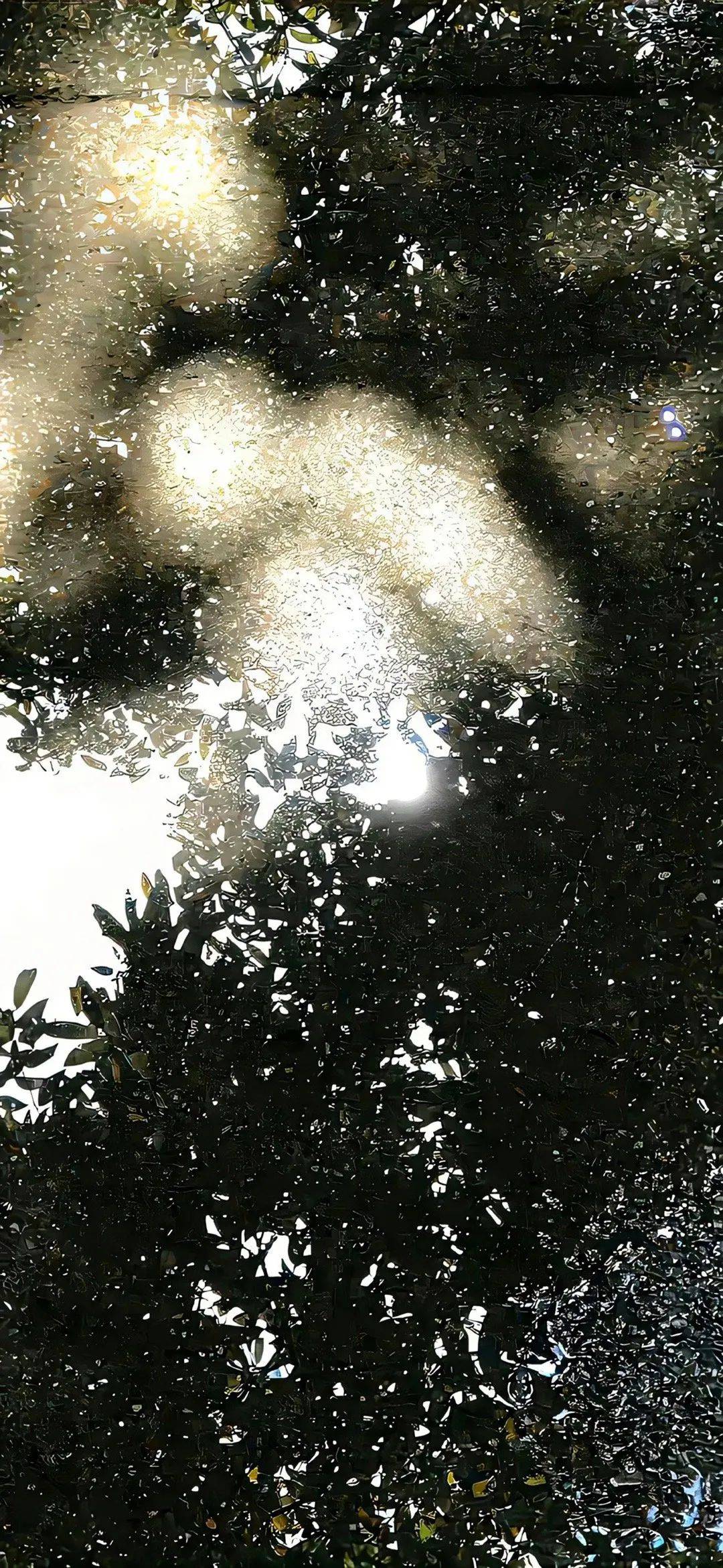 ipad壁纸 | 4k高清壁纸无水印ipad