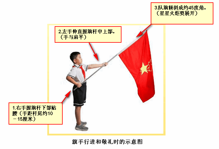 少先队队员队礼图解图片