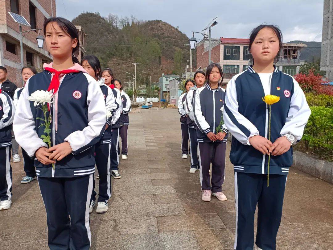 纳雍县各级团组织开展"清明祭英烈"活动