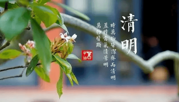 清明花信风三候图片