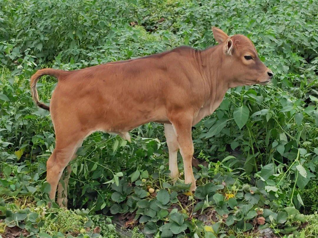 回归自然,体验农趣!快带娃解锁春天的n种玩法